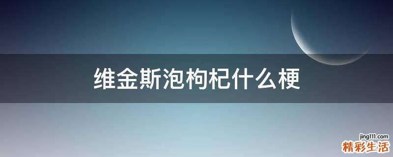 维金斯泡枸杞什么梗
