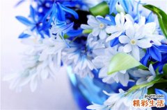冬季最省钱的“滋补”食物