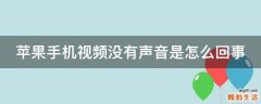 苹果手机视频没有声音是怎么回事