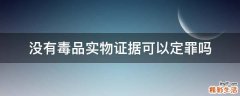 没有毒品实物证据可以定罪吗