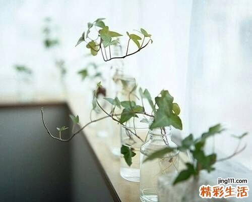 女性腰腹肥胖需查卵巢疾病