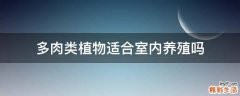 多肉类植物适合室内养殖吗