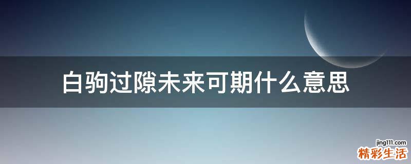 白驹过隙未来可期什么意思