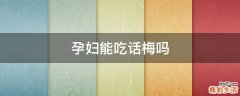 孕妇能吃话梅吗