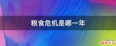 粮食危机是哪一年