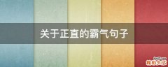关于正直的霸气句子