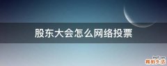 股东大会怎么网络投票