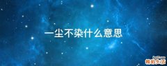 一尘不染什么意思
