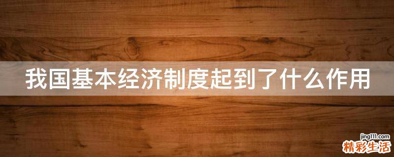 我国基本经济制度起到了什么作用