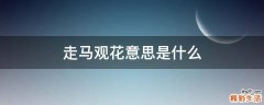 走马观花意思是什么