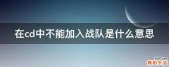 在cd中不能加入战队是什么意思