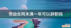 劳动合同未满一年可以辞职吗