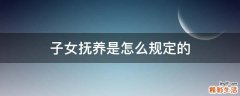 子女抚养是怎么规定的