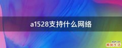 a1528支持什么网络