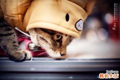 耳廓化膿性軟骨膜炎的臨床表現(xiàn)和治療措施是什么?