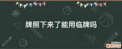 牌照下來了能用臨牌嗎