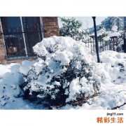 胰岛素会导致视力模糊吗