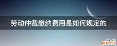 劳动仲裁缴纳费用是如何规定的