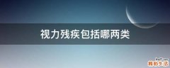 视力残疾包括哪两类