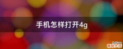 手机怎样打开4g