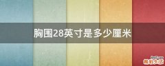 胸围28英寸是多少厘米