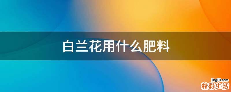 白兰花用什么肥料