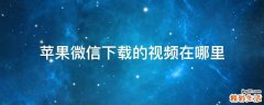 苹果微信下载的视频在哪里