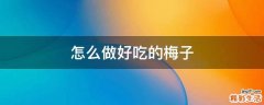 怎么做好吃的梅子