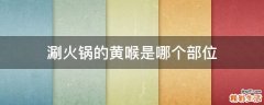 涮火锅的黄喉是哪个部位