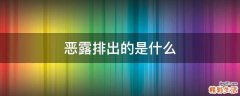 恶露排出的是什么