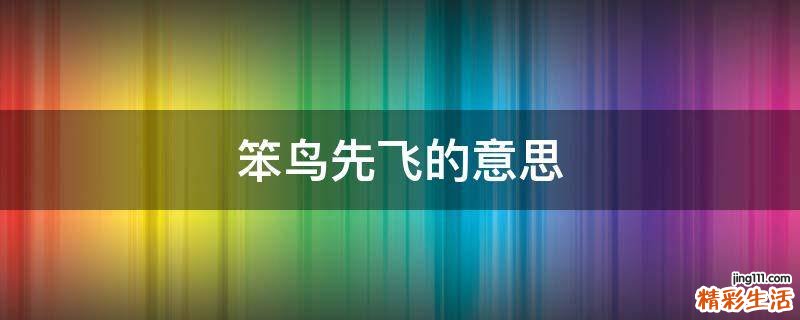 笨鸟先飞的意思