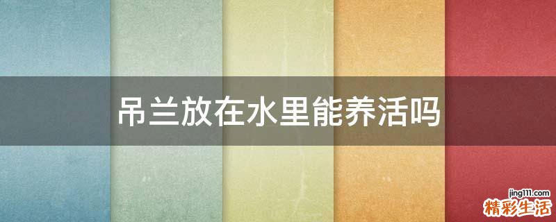 吊兰放在水里能养活吗