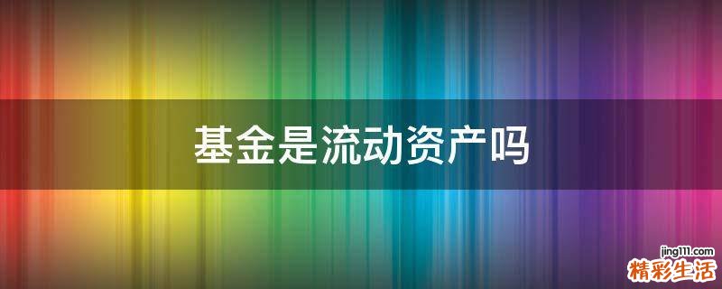 基金是流动资产吗