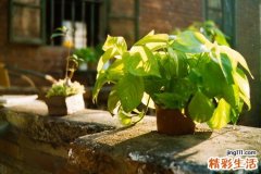 宮頸細(xì)胞學(xué)檢查怎么做