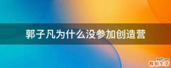 郭子凡为什么没参加创造营