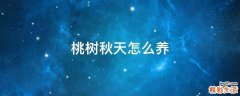 桃树秋天怎么养