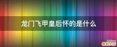 龙门飞甲皇后怀的是什么