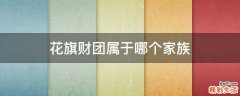 花旗财团属于哪个家族