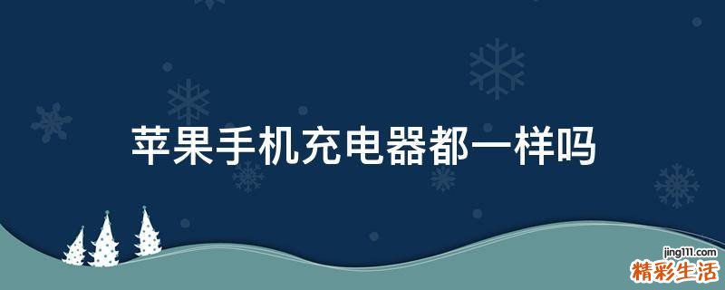 苹果手机充电器都一样吗