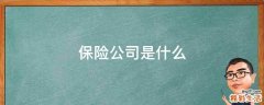 保险公司是什么