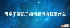 母亲不管孩子如何起诉流程是什么