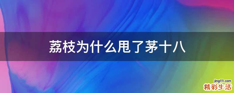 荔枝为什么甩了茅十八