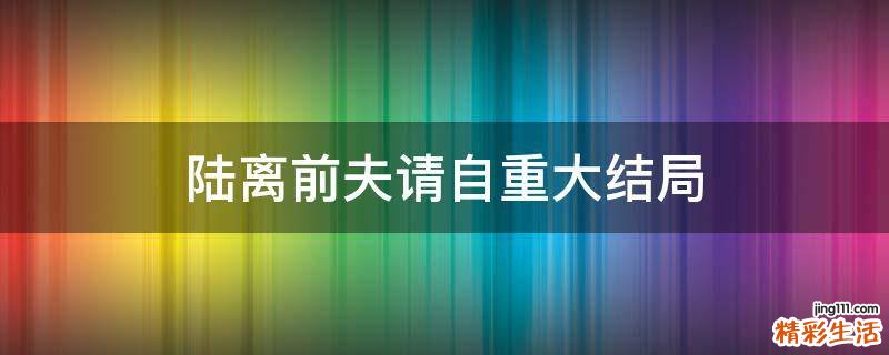 陆离前夫请自重大结局