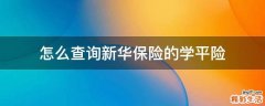 怎么查询新华保险的学平险