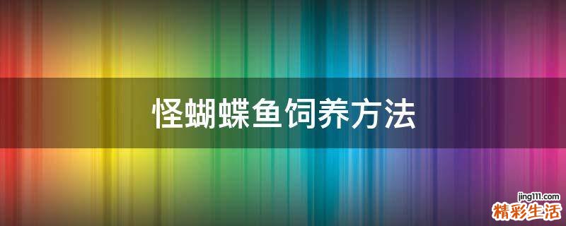 怪蝴蝶鱼饲养方法