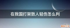 在我国打架致人轻伤怎么判