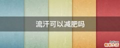 流汗可以减肥吗
