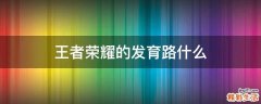 王者荣耀的发育路什么
