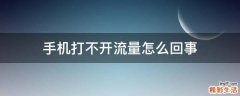 手机打不开流量怎么回事
