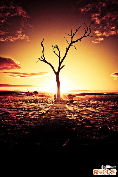 梅毒患者多久没有传染性